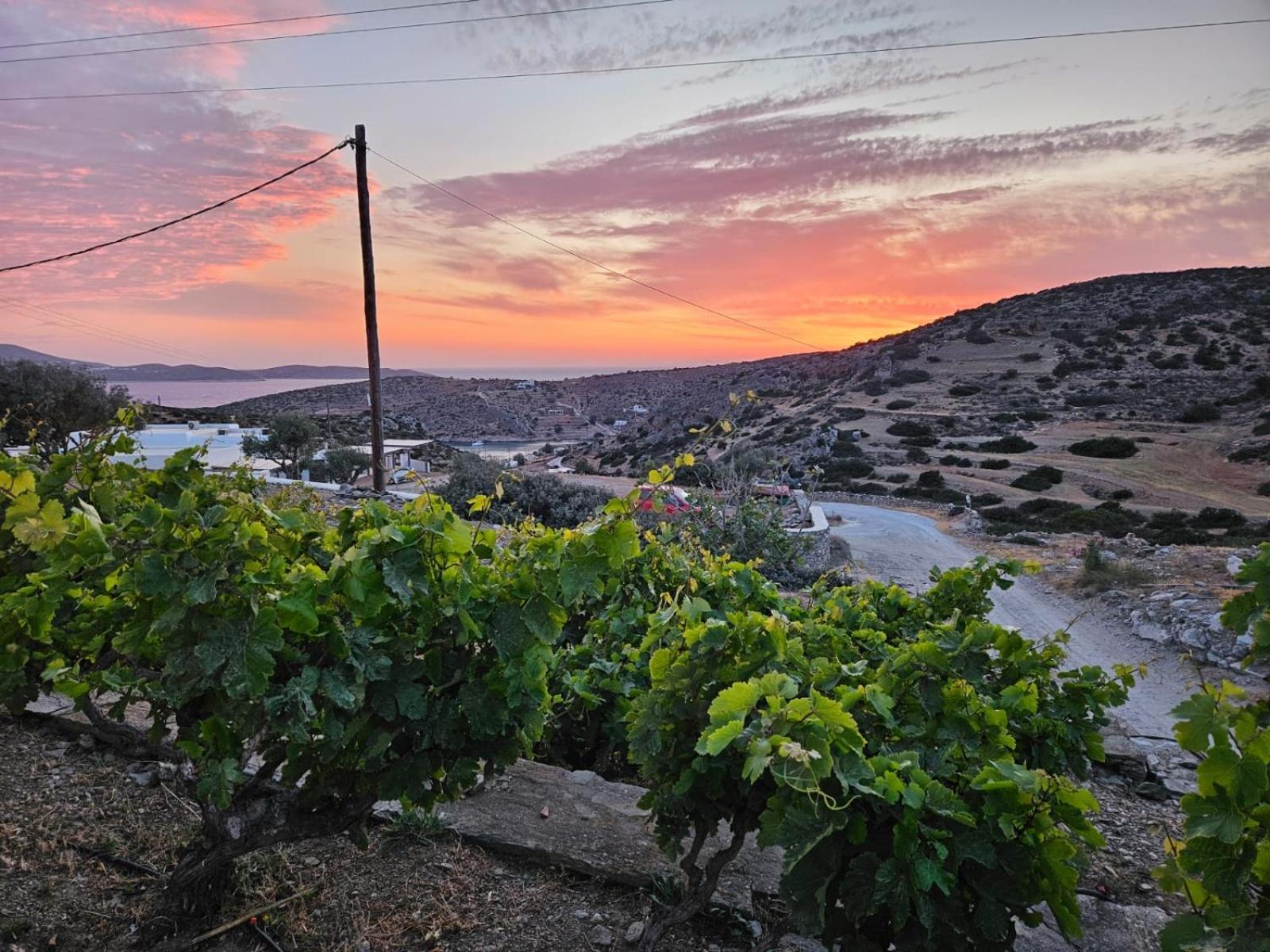 Ailouros Summer Hotel Schoinoussa Luaran gambar