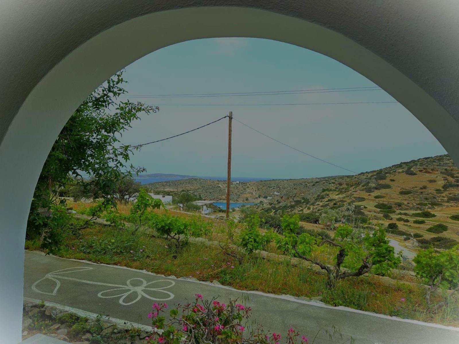 Ailouros Summer Hotel Schoinoussa Luaran gambar